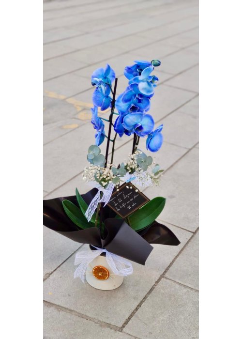 Aşkın ve zarafetin baş harfi ❤