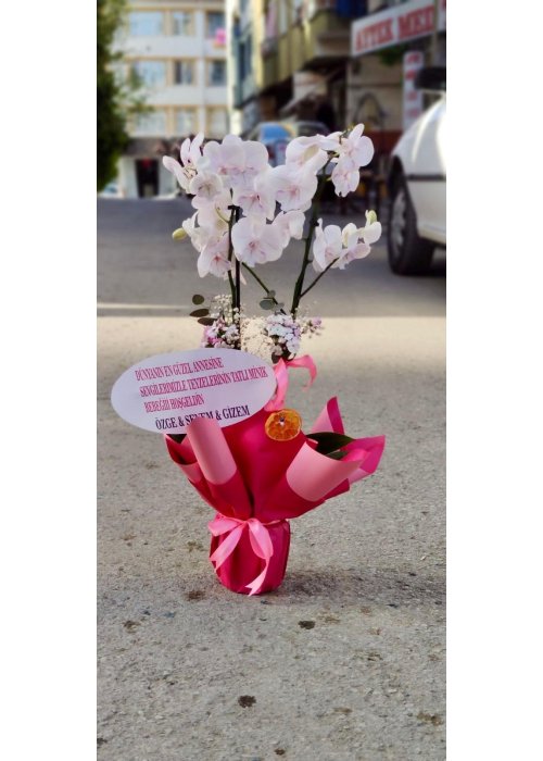 Zarif ve her daim özel ❤