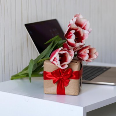 YENİ İŞ ÇİÇEĞİ